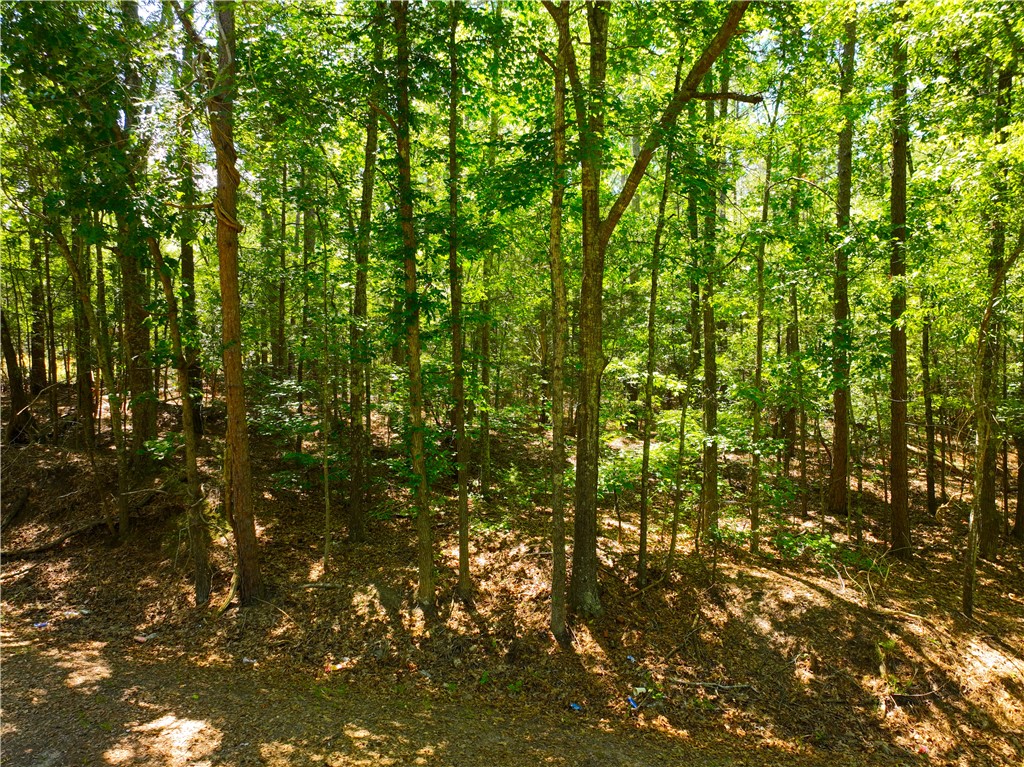401 Coleman Road Clinton, SC 29325 - Photo 19 of 25