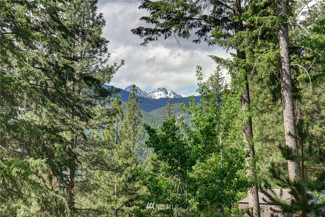 13 Wintergreen Road Winthrop, WA 98862 - Photo 23 of 25