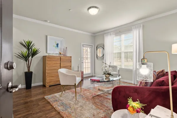 a living room with furniture and a potted plant