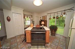 6969 Williams Road Painesville, OH 44077 - Photo 29 of 31 Gallery Image 29