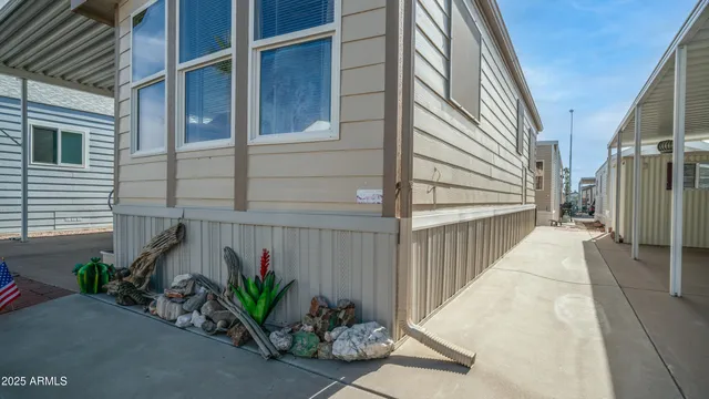 a view of a potted plants with sky view