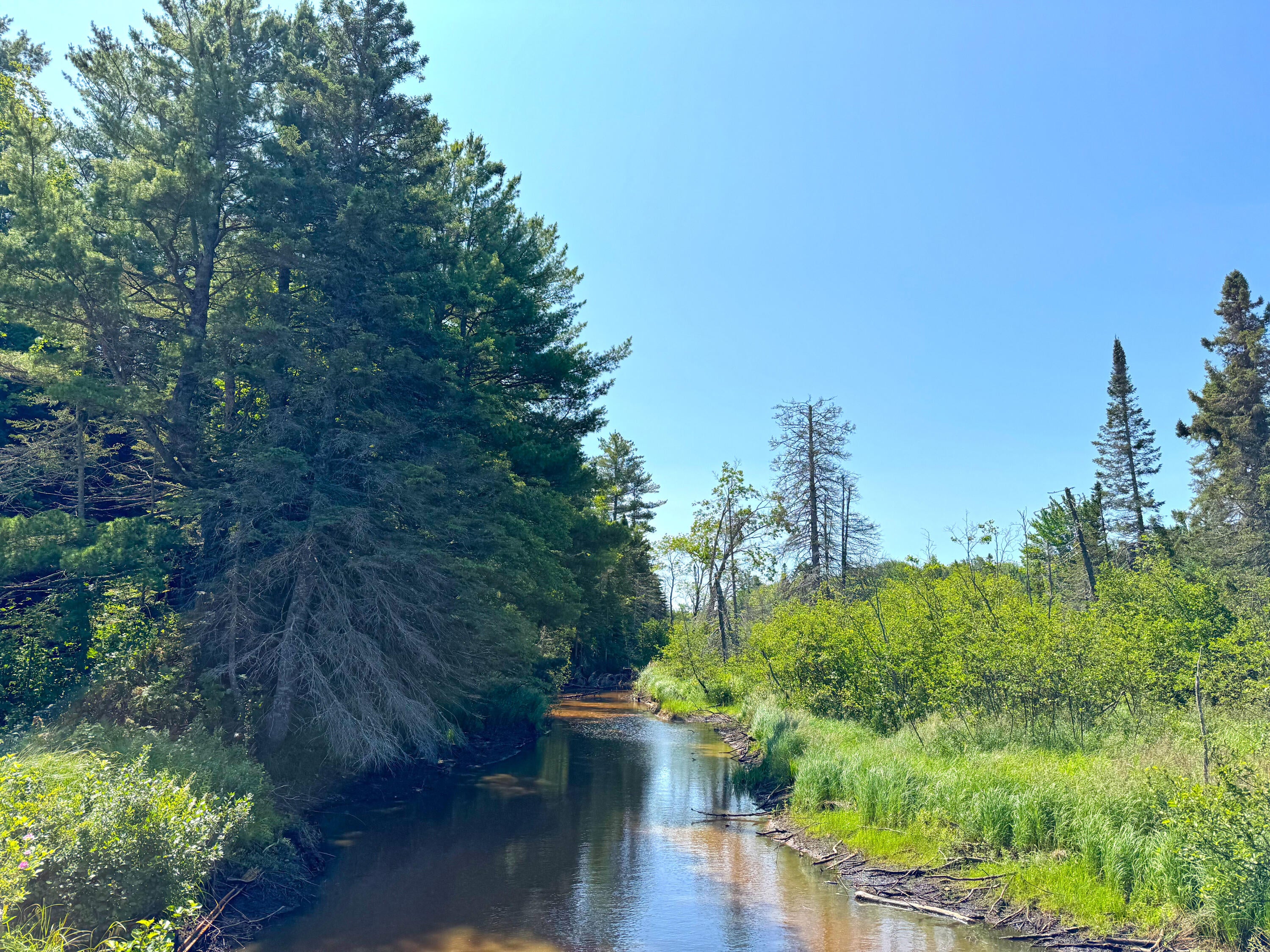 41483 West Betsy River Road Paradise, MI 49768 - Photo 22 of 55 Gallery Image 22