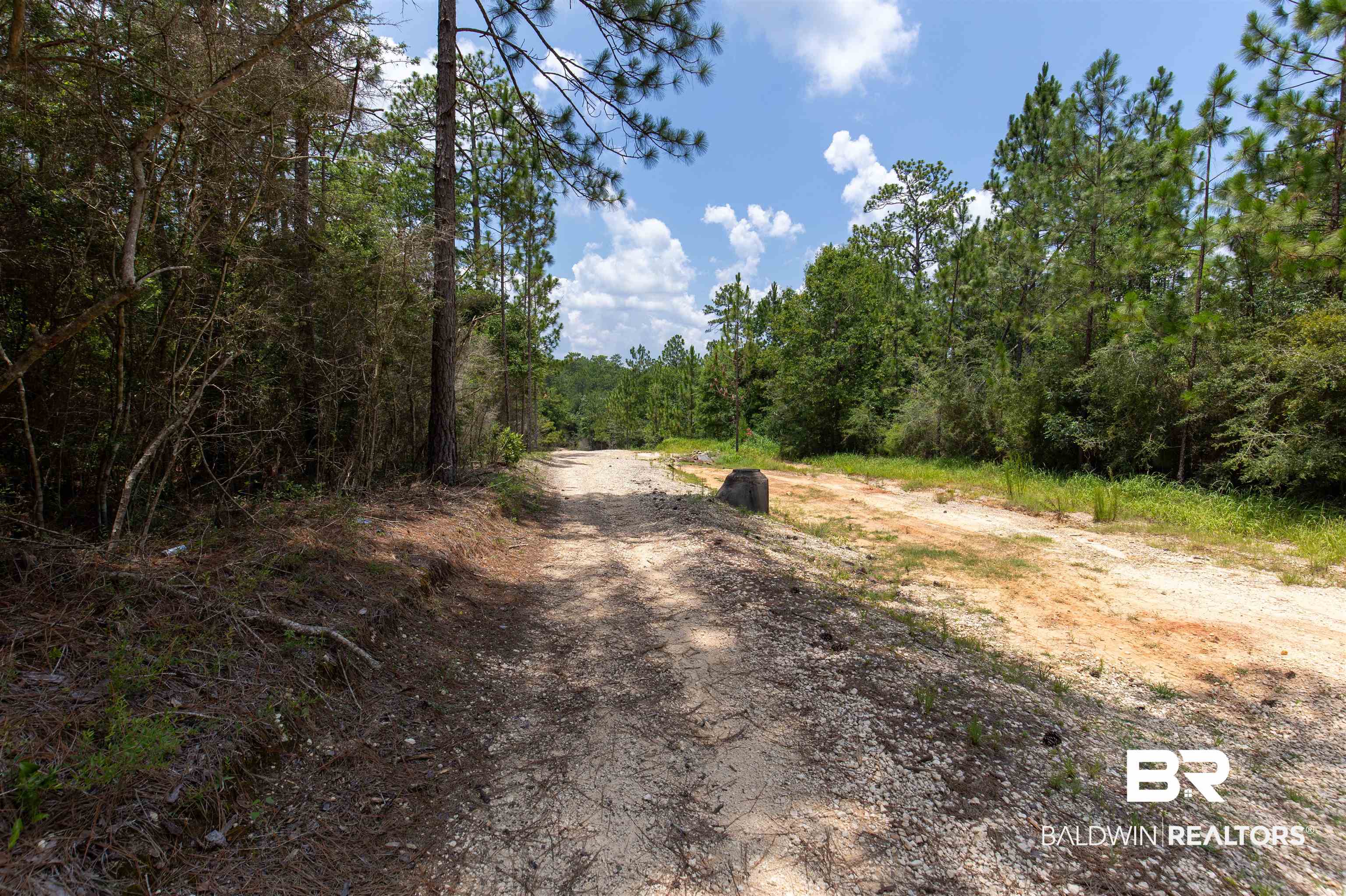 0 Schillinger Road Mobile, AL 36619 - Photo 2 of 25