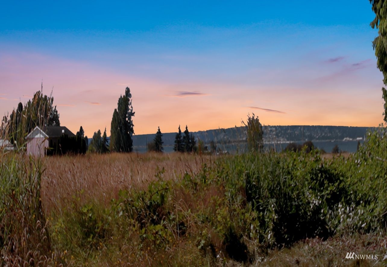 4770 Lincoln Road Blaine, WA 98230 - Photo 36 of 36 a view of a dry yard with a tree