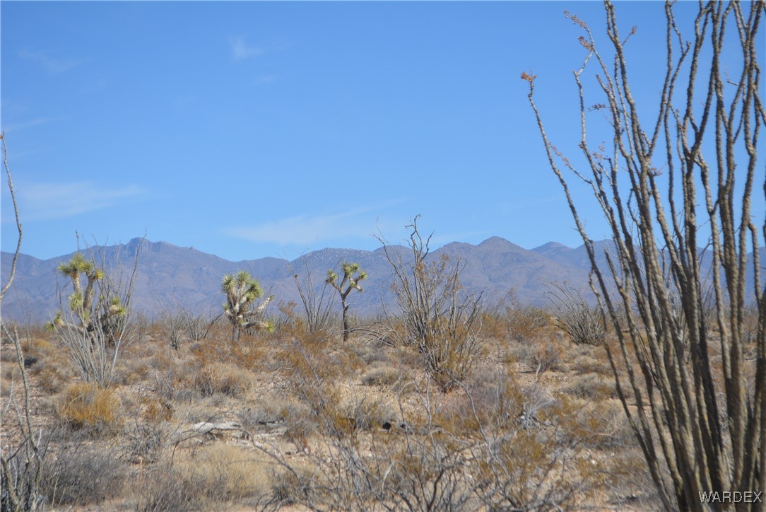 245-24-107 South Rainbow Road Yucca, AZ 86438 - Photo 61 of 91