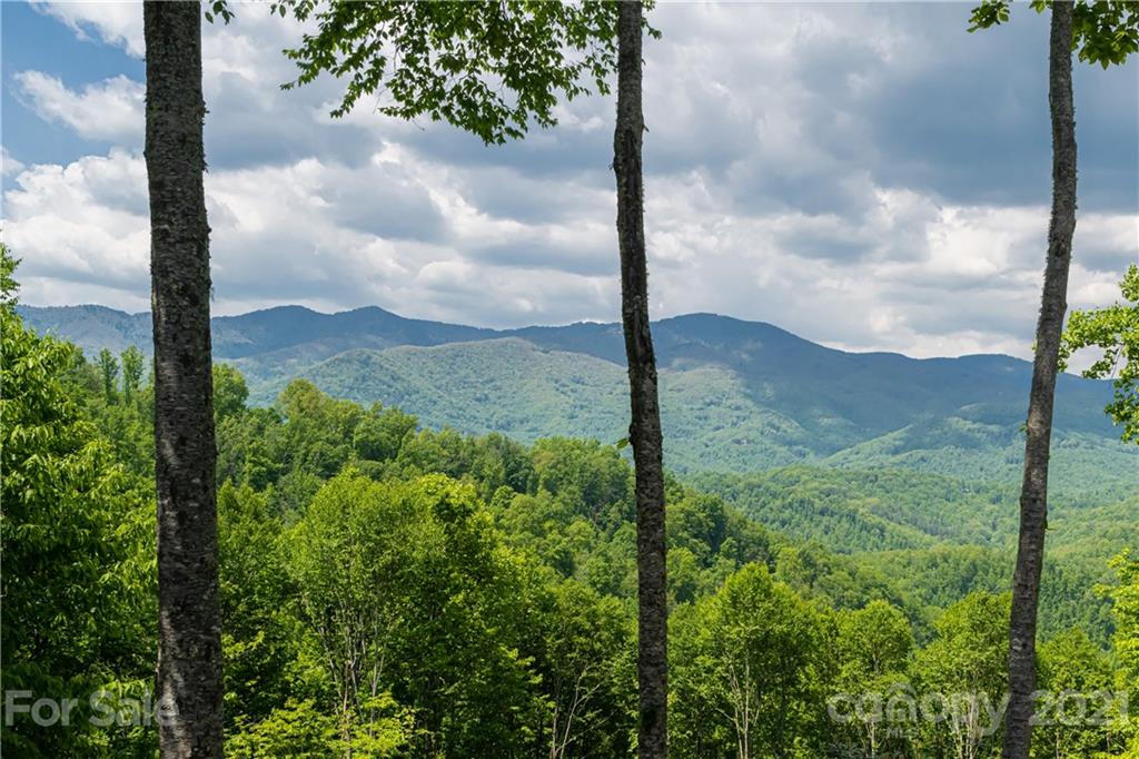 301 Flying Dutchman Road Sylva, NC 28779 - Photo 2 of 48 a view of a garden with a tree in the background