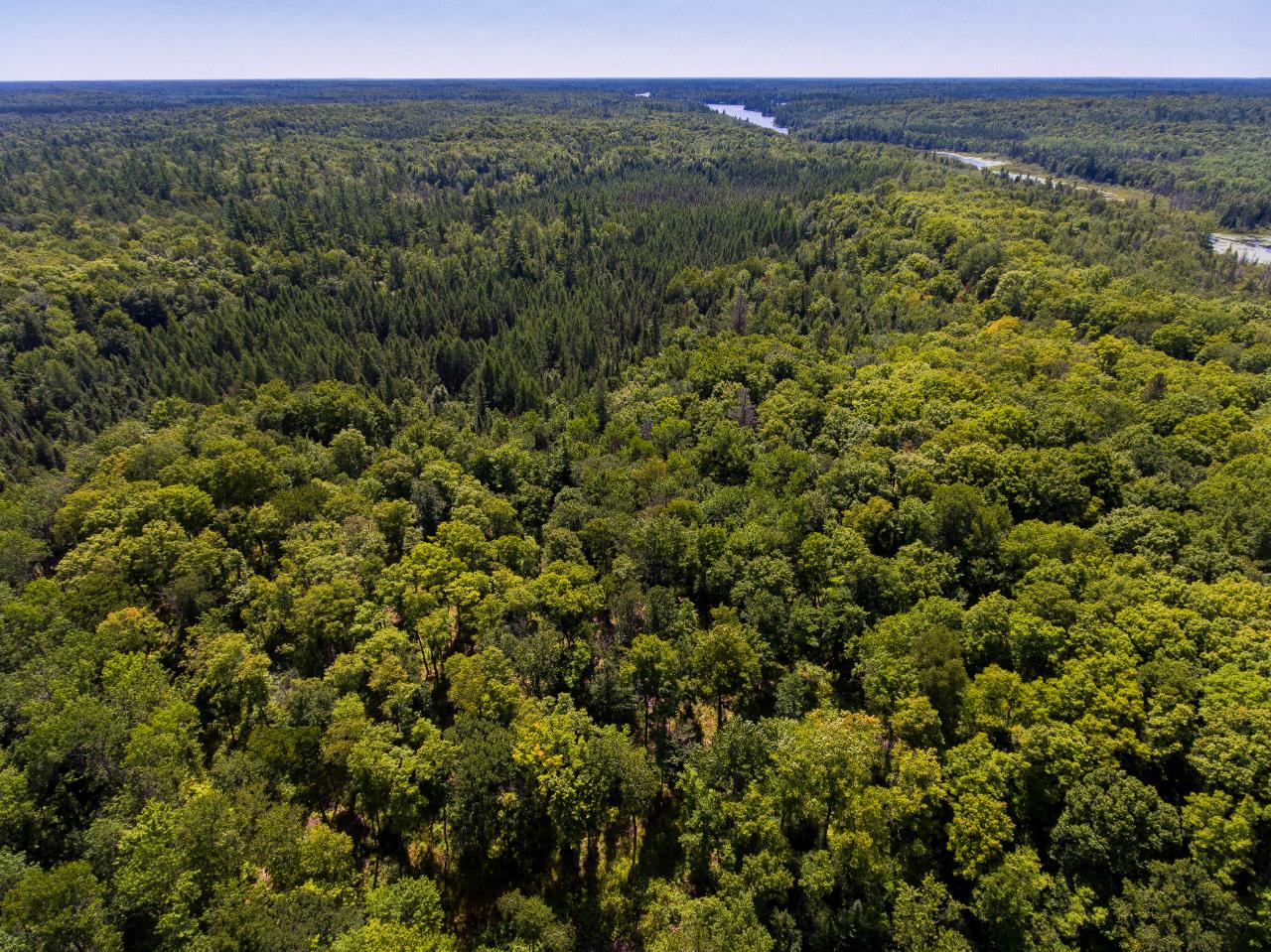 On On Desperation Road Mercer, WI 54547 - Photo 1 of 14 Gallery Image 1