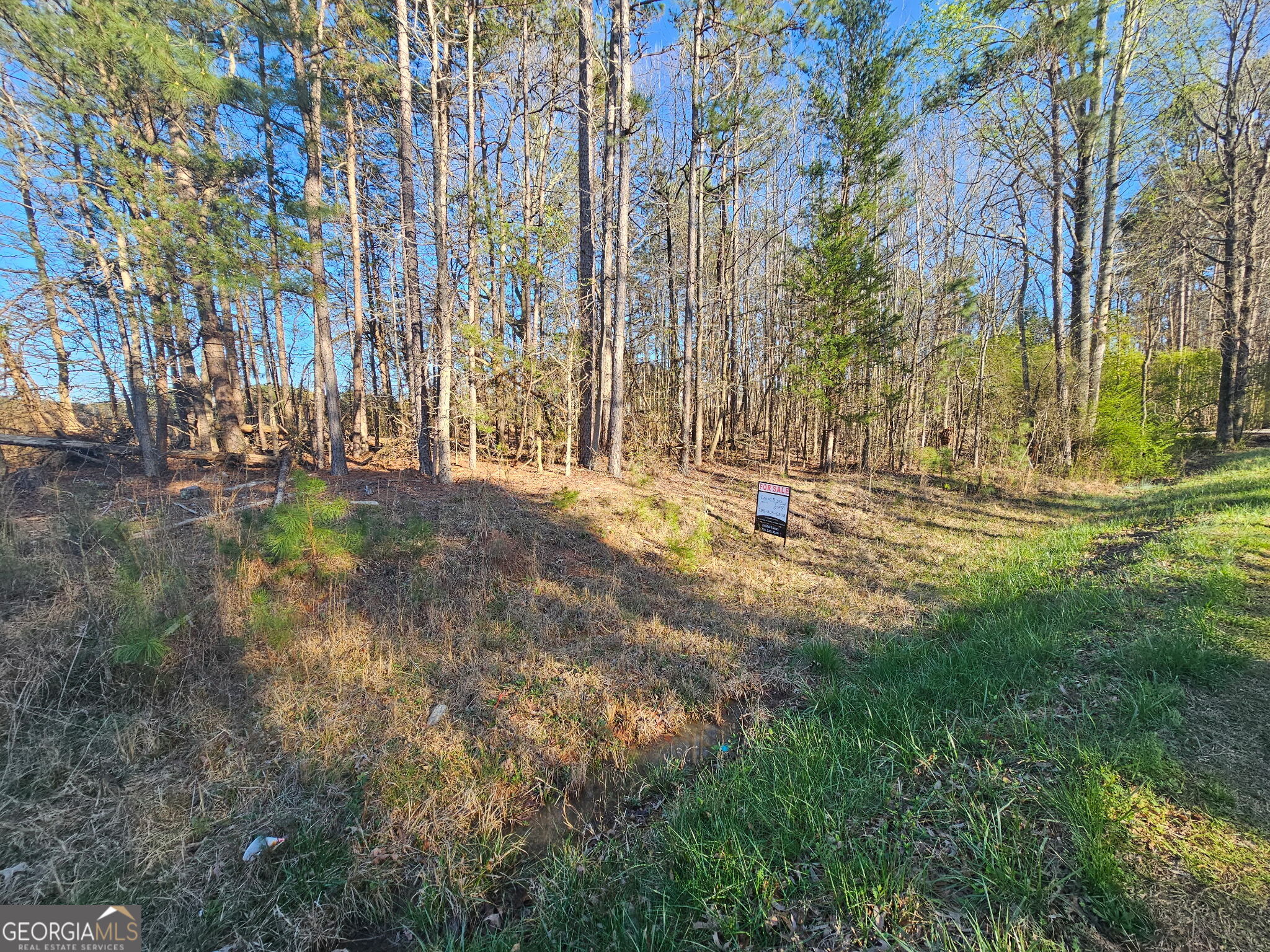 0 Lake Point Road Hartwell, GA 30643 - Photo 1 of 1 Gallery Image 1