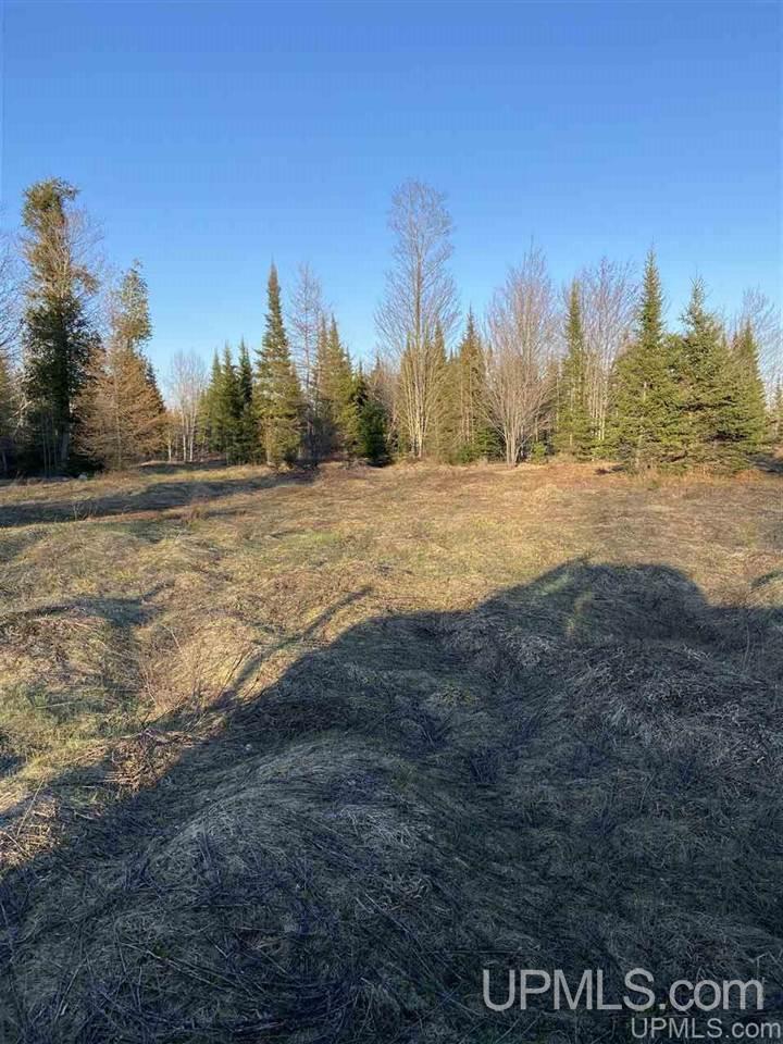 Tbd (#4 I Road Cornell, MI 49818 - Photo 1 of 1