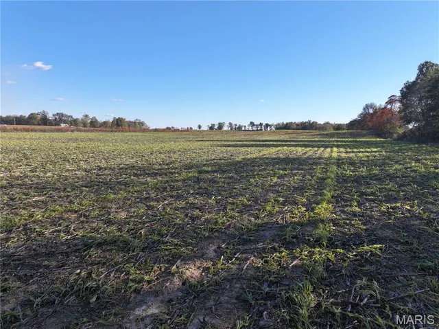 $265,500 | 0 County Road 628, Fisk, MO 63940