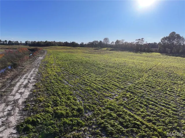 $265,500 | 0 County Road 628, Fisk, MO 63940