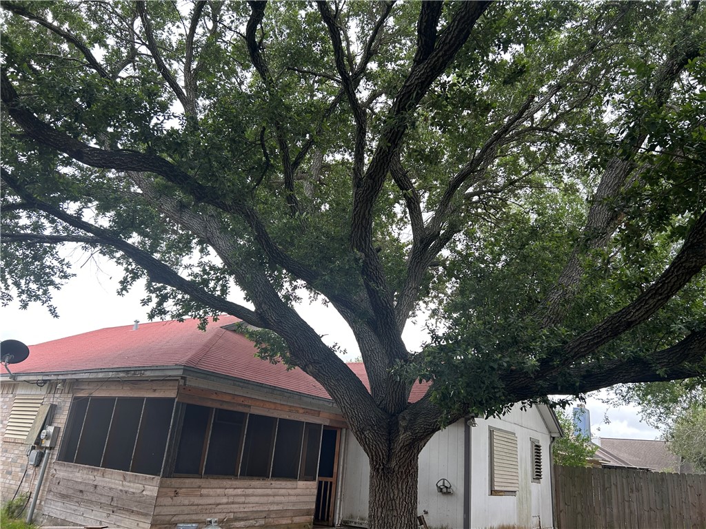 4530 Windows Drive Corpus Christi, TX 78413 - Photo 10 of 11 a view of backyard with a large tree