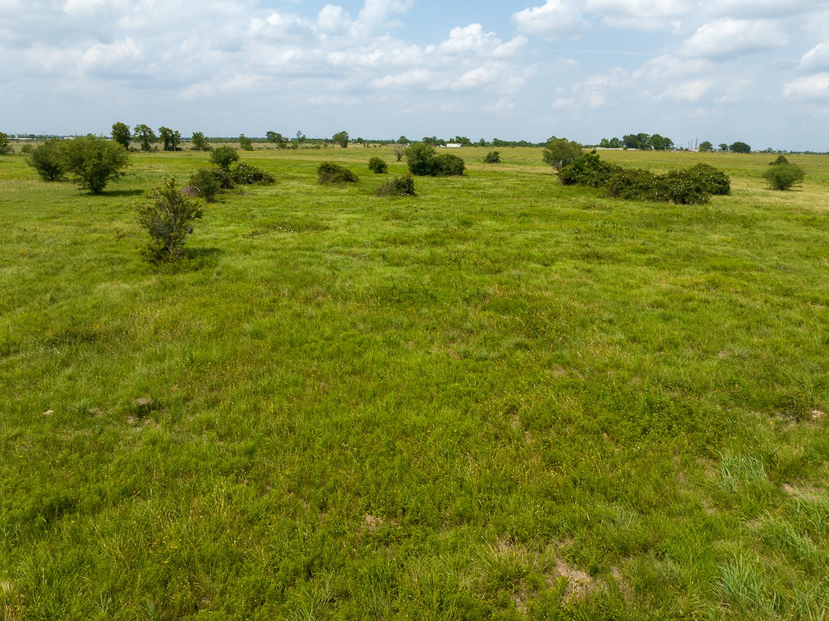 Tbd Wolchik Road Sealy, TX 77474 - Photo 14 of 25