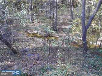 122 Pratts Branch Road Felton, DE 19943 - Photo 8 of 8 Gallery Image 8
