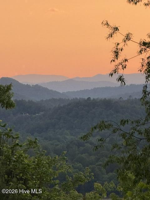 Lot 5 Downings Creek Road Hayesville, NC 28904 - Photo 10 of 11