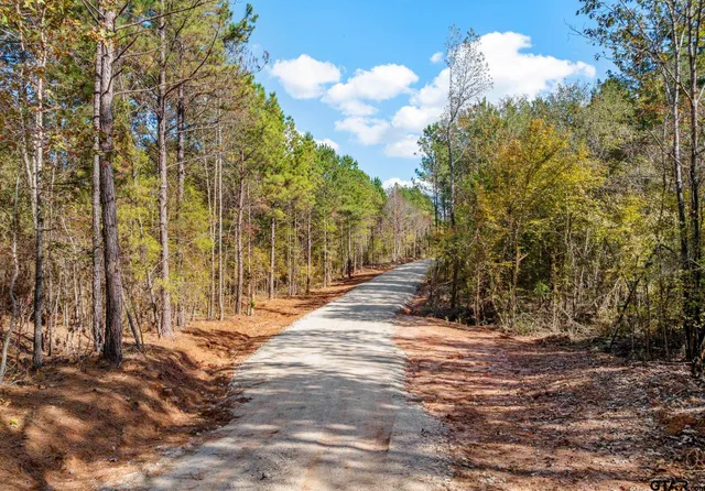 a view of a pathway of a yard