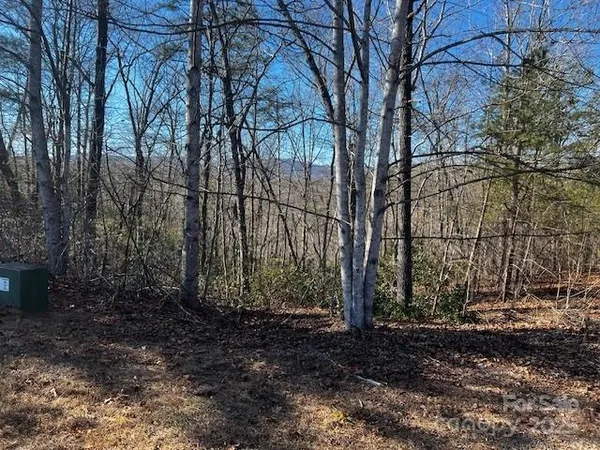 a view of a yard with trees