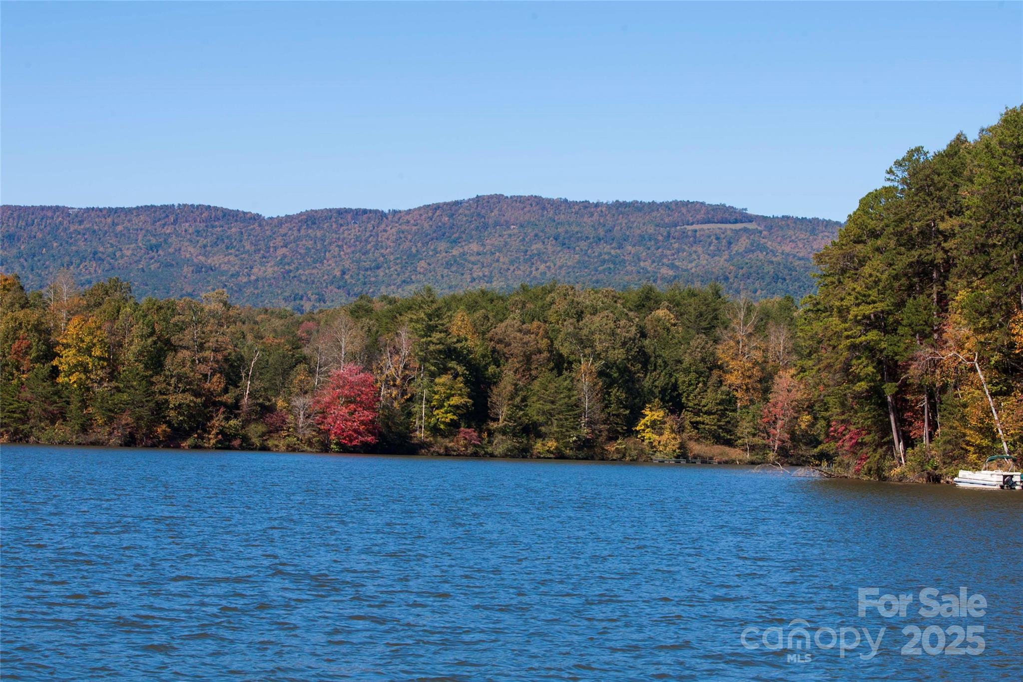 Lot 37 North Mountain Ln Mill Spring Mill Spring, NC 28756 - Photo 12 of 23 a view of a and mountain