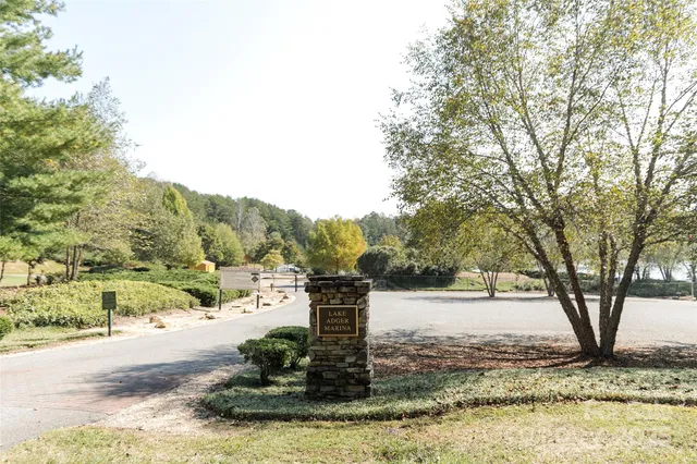 a view of a park with large trees