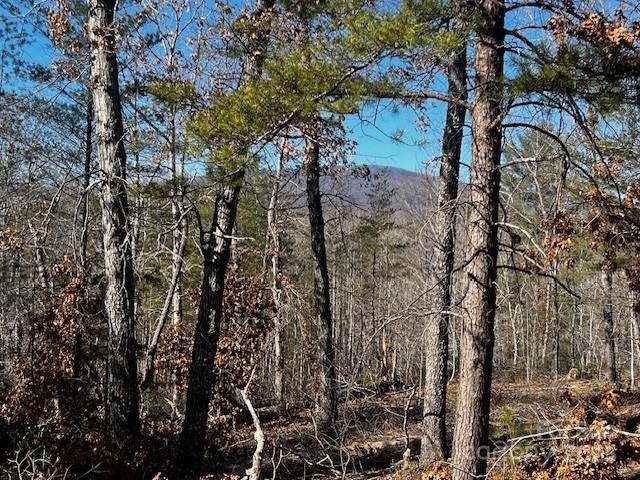 Lot 37 North Mountain Ln Mill Spring Mill Spring, NC 28756 - Photo 5 of 23 a view of a tree with yard