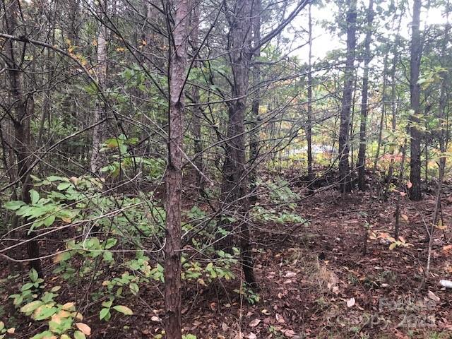 Lot 37 North Mountain Ln Mill Spring Mill Spring, NC 28756 - Photo 7 of 23 a view of a forest
