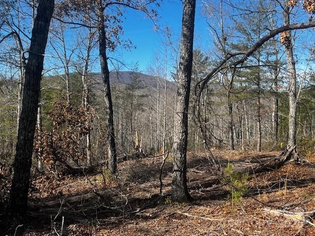 Lot 37 North Mountain Ln Mill Spring Mill Spring, NC 28756 - Photo 8 of 23 a view of a yard with large trees