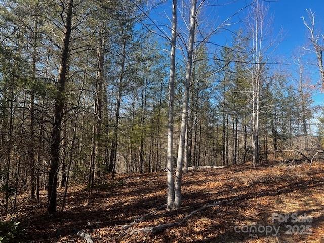Lot 37 North Mountain Ln Mill Spring Mill Spring, NC 28756 - Photo 9 of 23 a backyard of a house with lots of green space