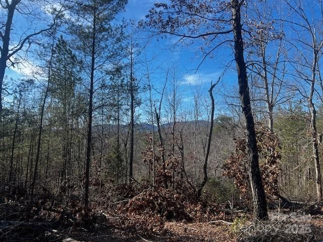 Lot 37 North Mountain Ln Mill Spring Mill Spring, NC 28756 - Photo 10 of 23 a view of a yard
