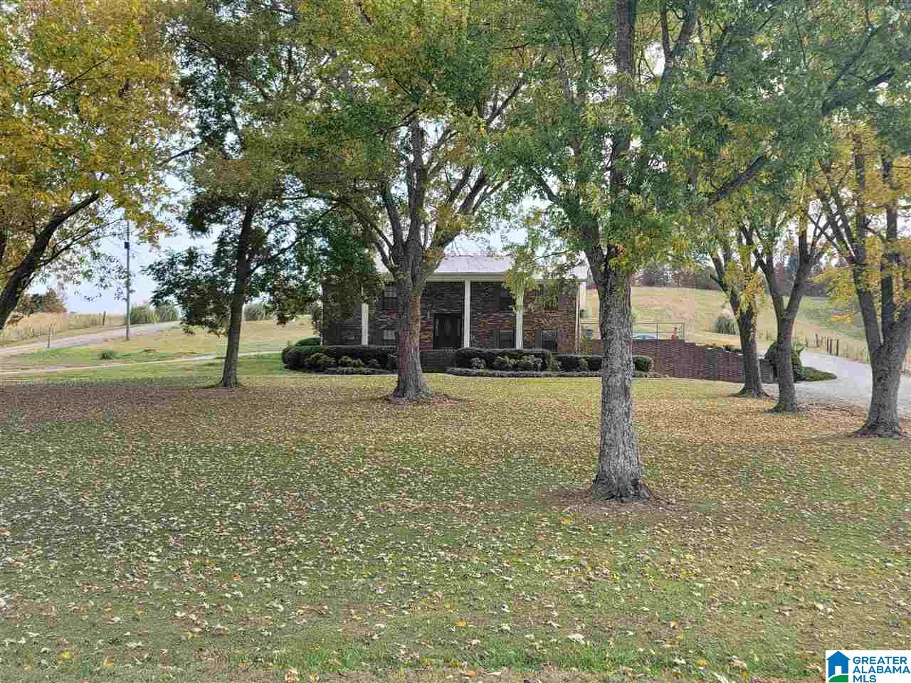 2182 Pitt Road Blountsville, AL 35031 - Photo 1 of 34