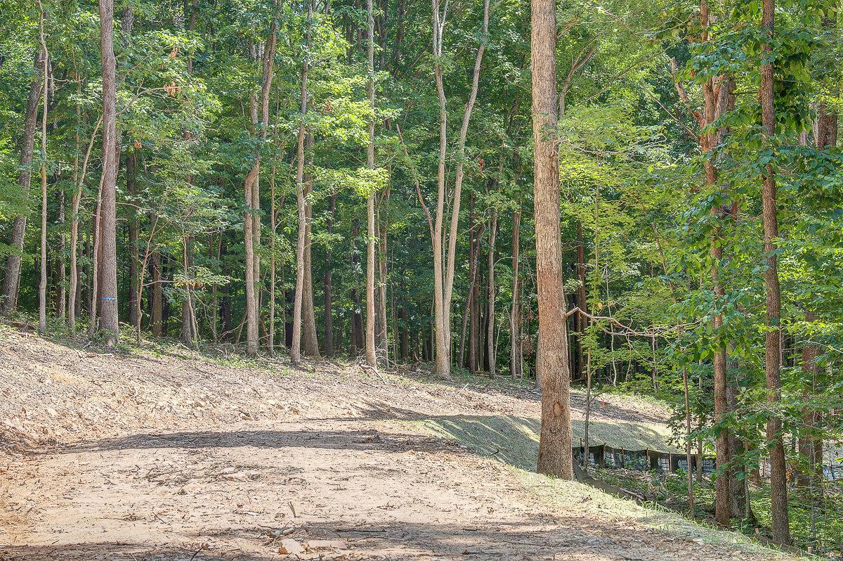 1 Natchez Rdg Lane Franklin, TN 37064 - Photo 8 of 9 Beautiful Tennessee hardwoods.