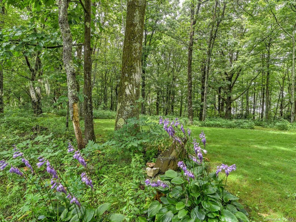 586 Firetower Road Spruce Pine, NC 28777 - Photo 9 of 48 Gallery Image 9