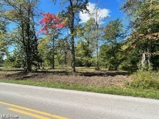 2121 Middle Road Pierpont, OH 44082 - Photo 29 of 35