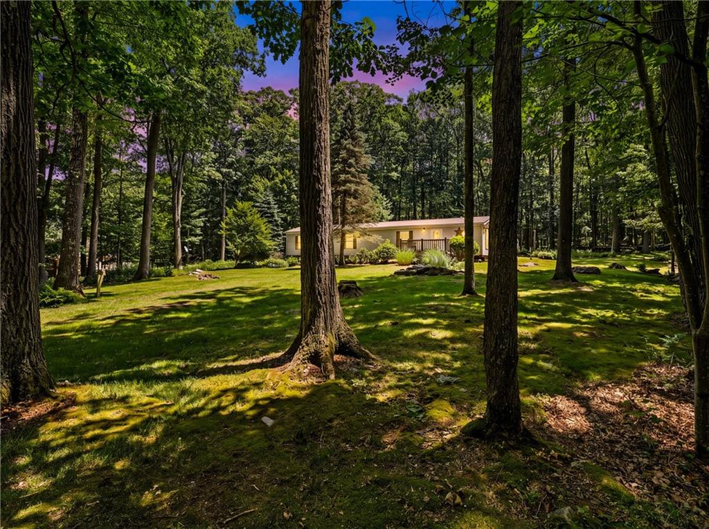 175 Dons Road Fort Hill, PA 15540 - Photo 1 of 35