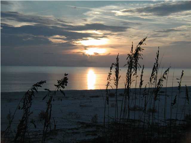 109 McCosh Mill Road Port St. Joe, FL 32456 - Photo 19 of 20 Gallery Image 19