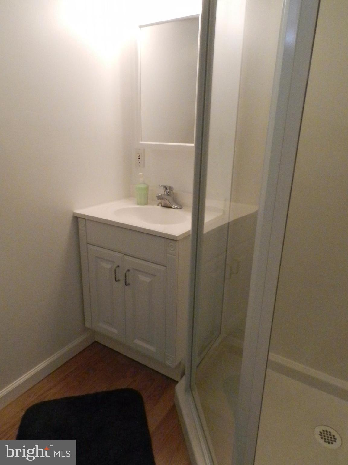 43 Ritters Lane Owings Mills, MD 21117 - Photo 13 of 20 2nd Full Bath in Lower Level