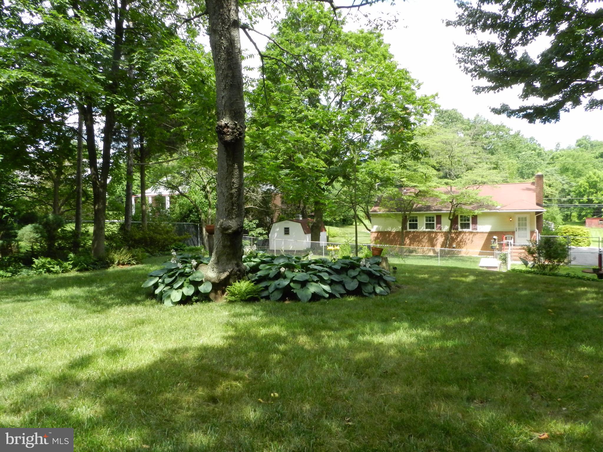 43 Ritters Lane Owings Mills, MD 21117 - Photo 17 of 20 Mature Landscaping