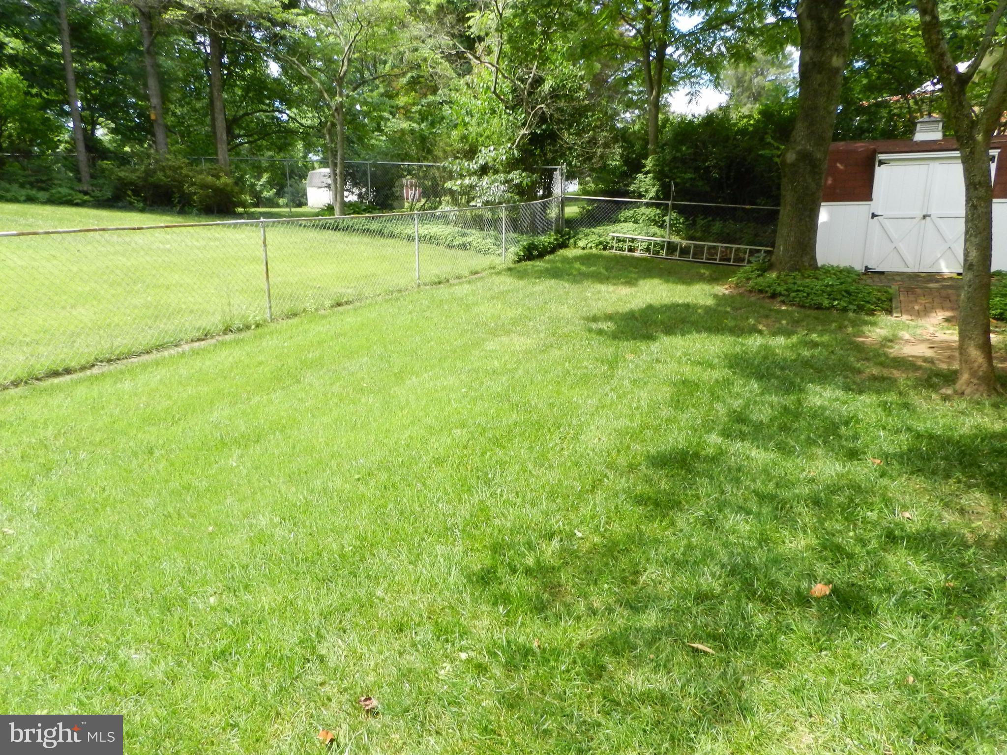 2 Separate Fenced-in Areas