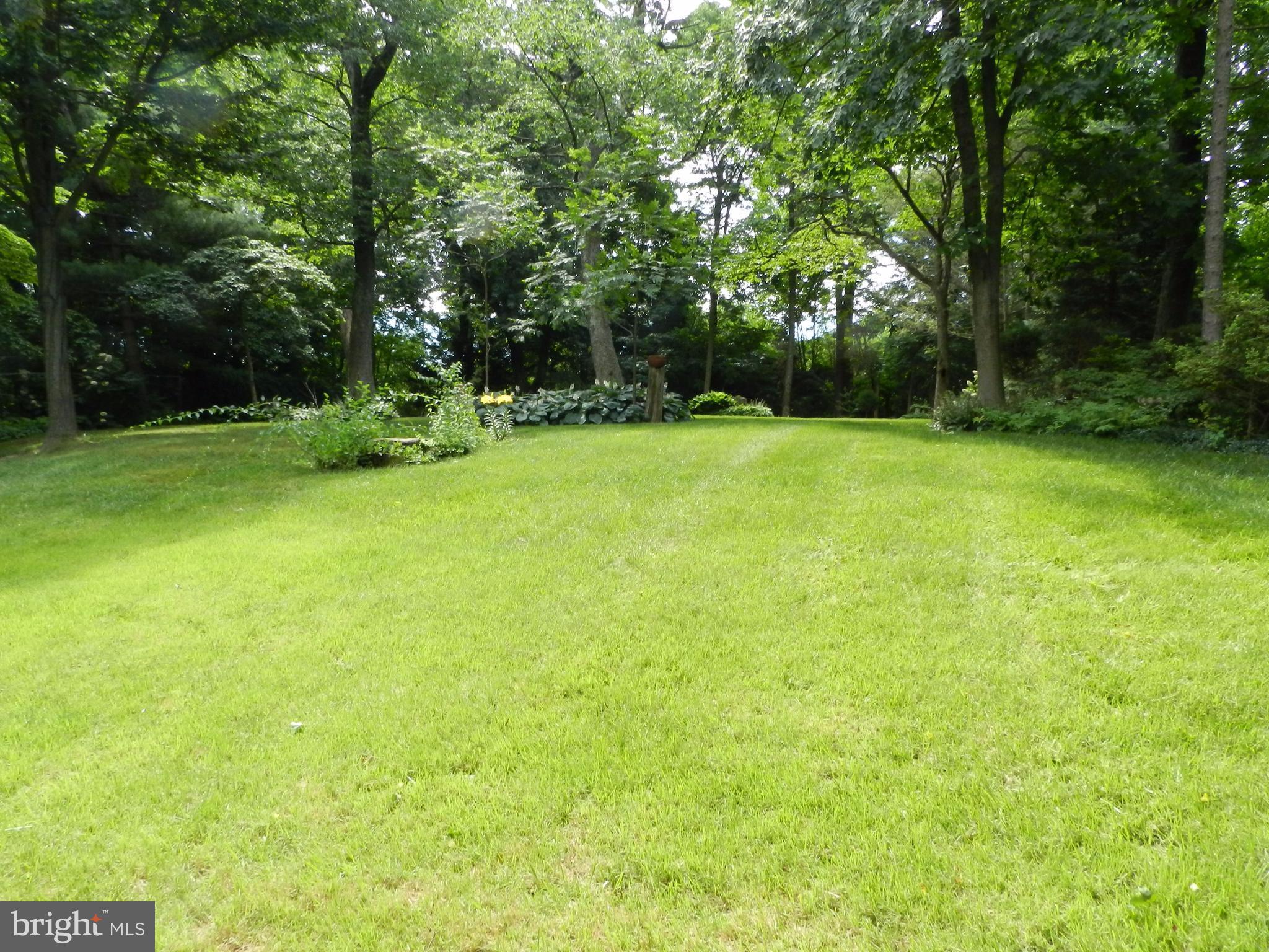 Beautiful Yard!