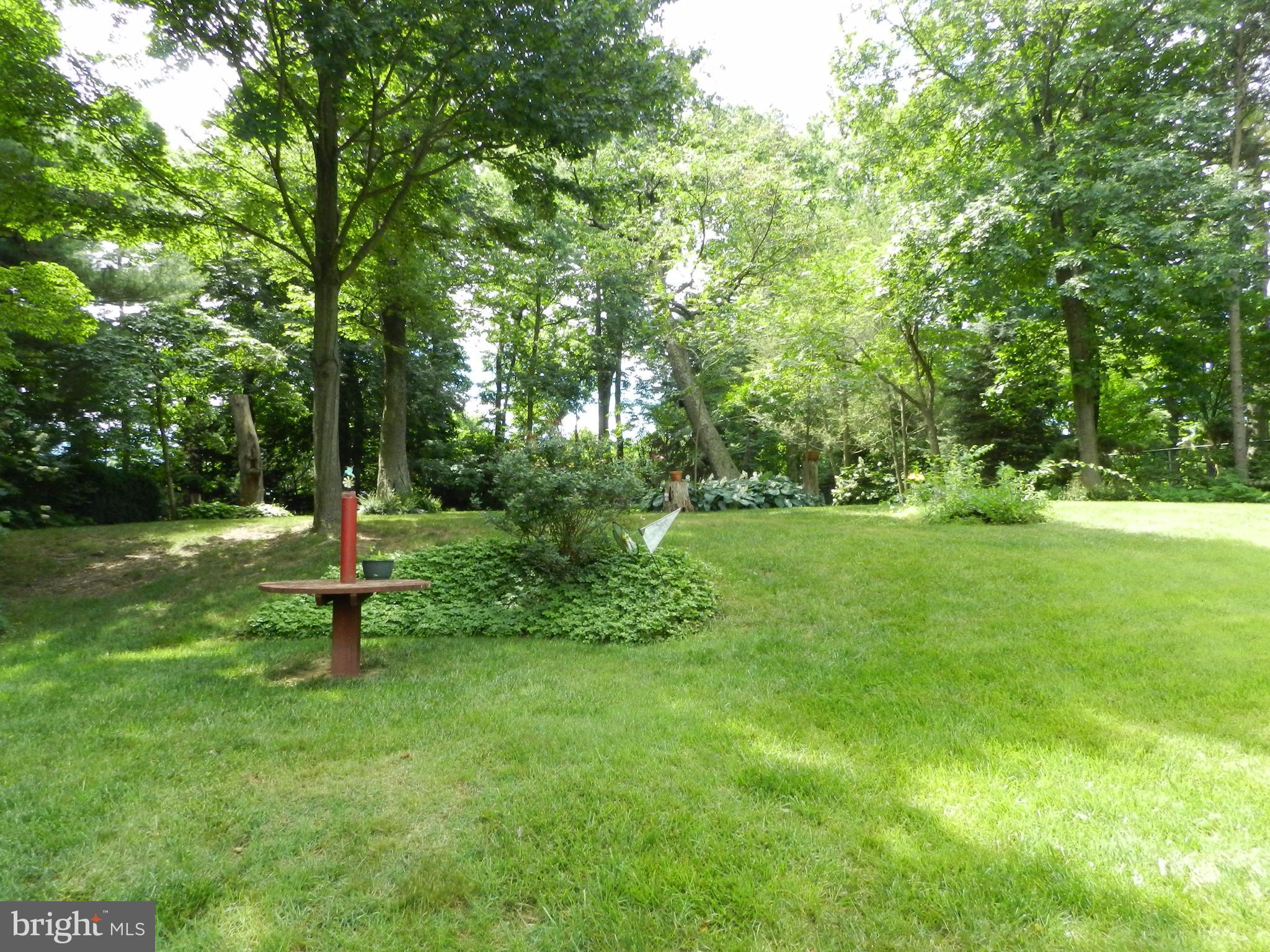 Amazing Double Lot