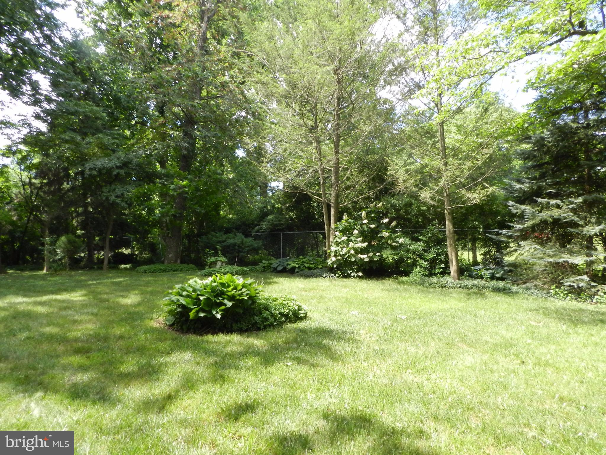 Park-like Yard