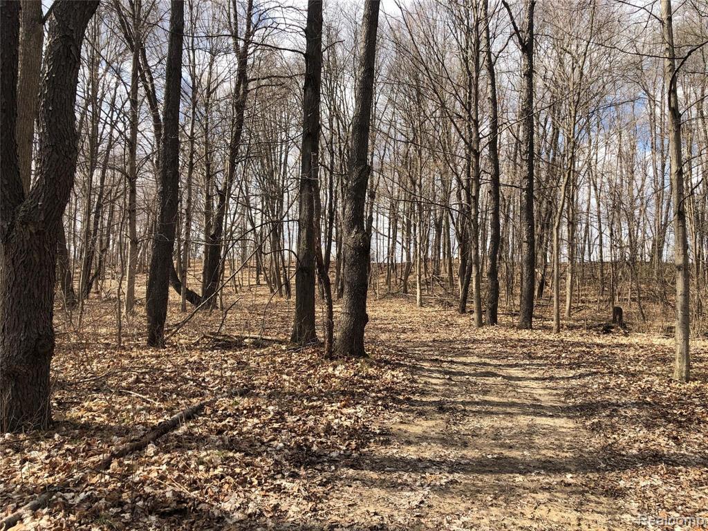 0 East Mt Morris Road Davison, MI 48423 - Photo 1 of 4