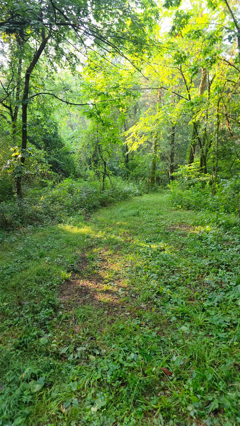 9758 Scotts Ridge Road Rising Sun, IN 47040 - Photo 12 of 29