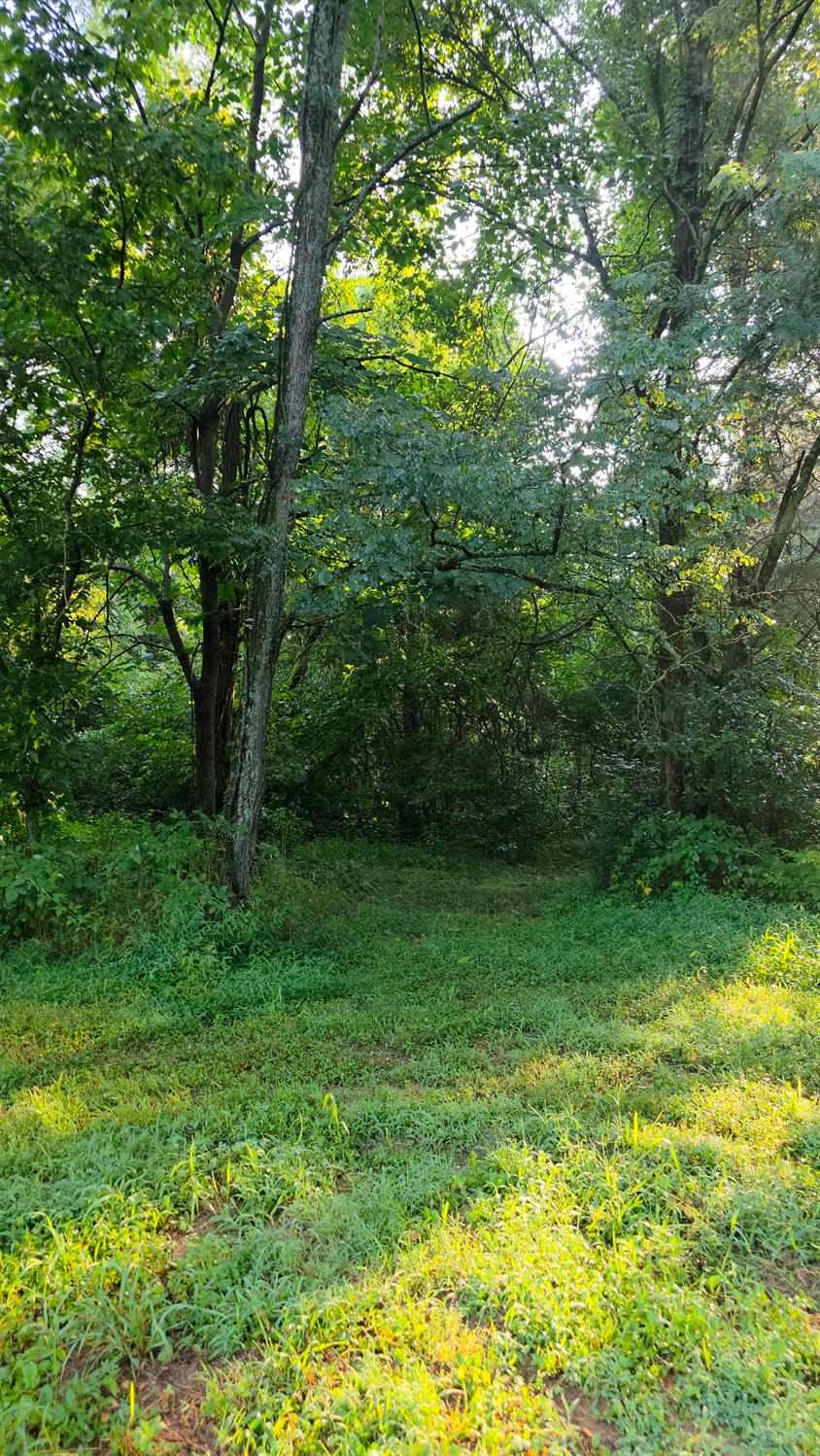 9758 Scotts Ridge Road Rising Sun, IN 47040 - Photo 13 of 29