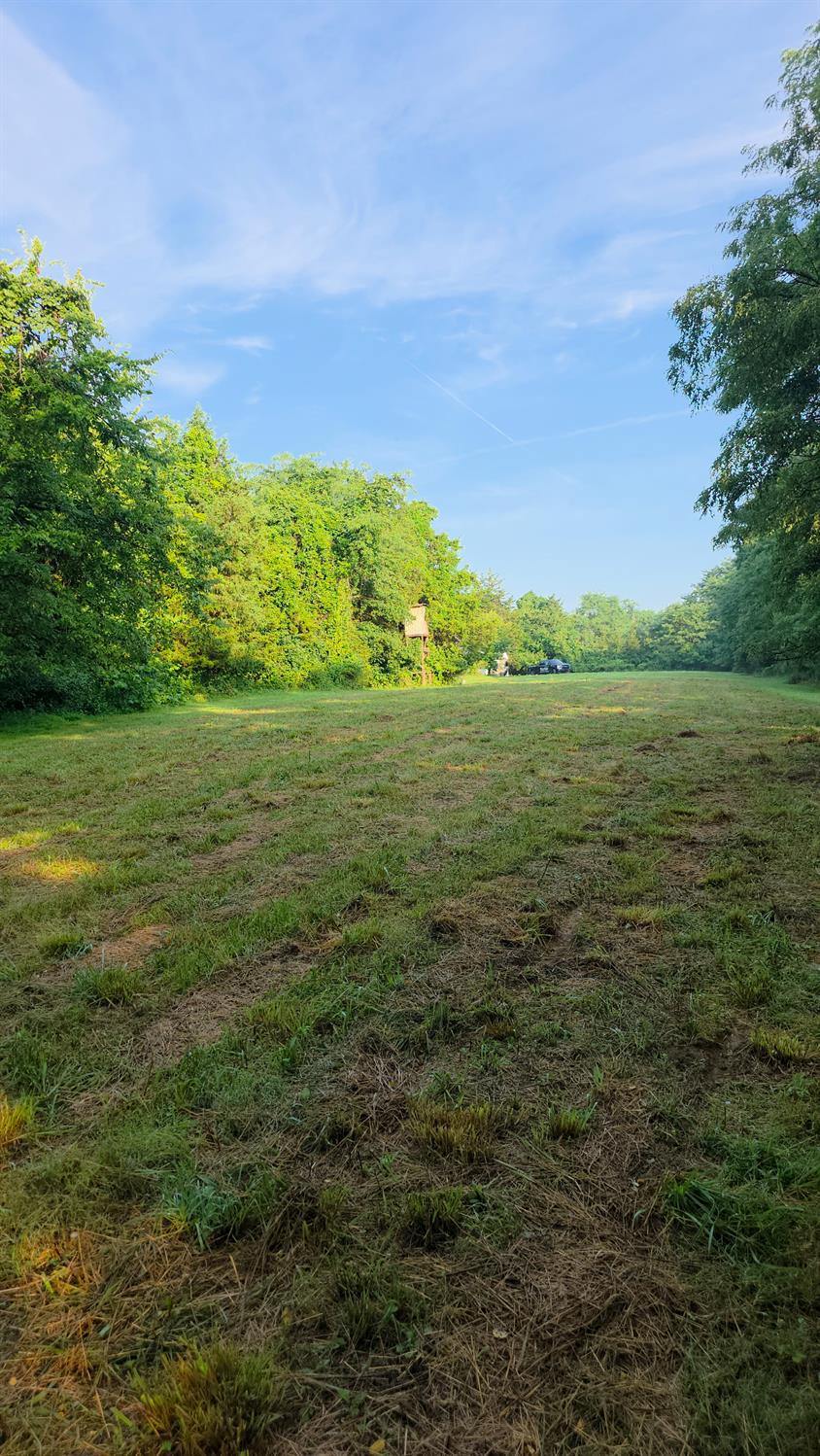 9758 Scotts Ridge Road Rising Sun, IN 47040 - Photo 14 of 29