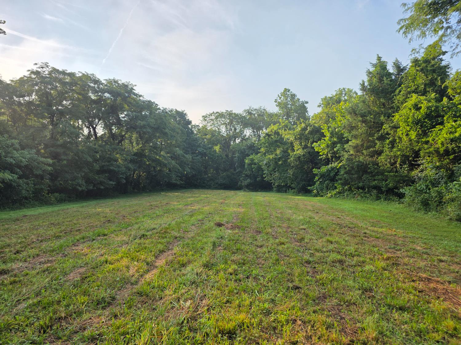 9758 Scotts Ridge Road Rising Sun, IN 47040 - Photo 6 of 29