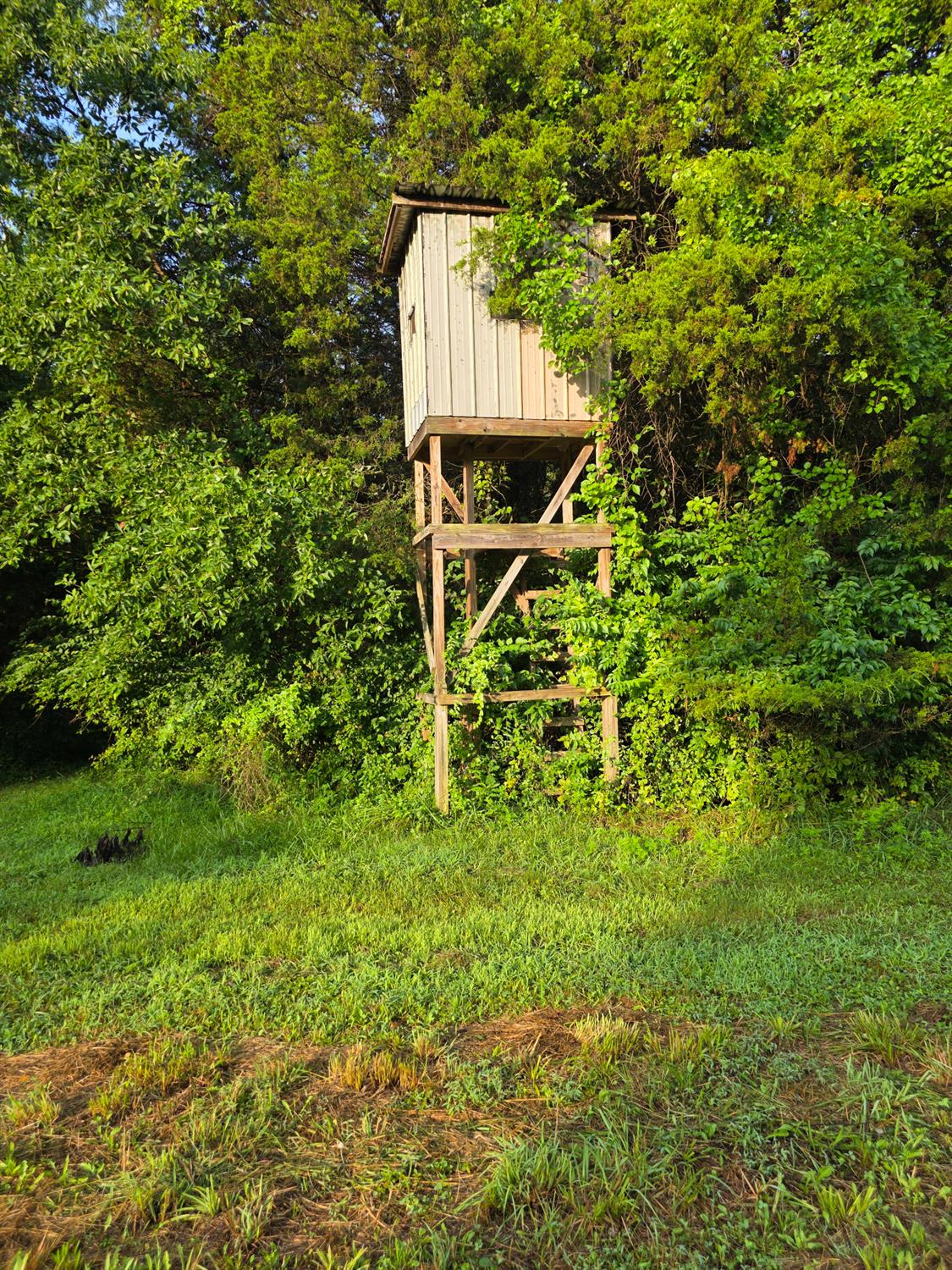 9758 Scotts Ridge Road Rising Sun, IN 47040 - Photo 7 of 29