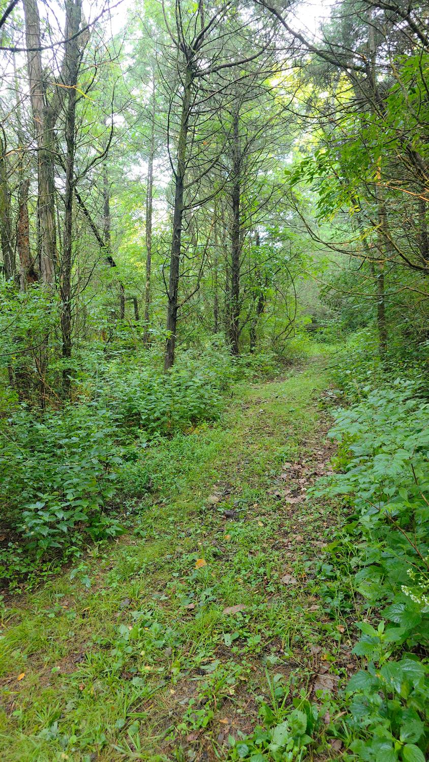 9758 Scotts Ridge Road Rising Sun, IN 47040 - Photo 10 of 29