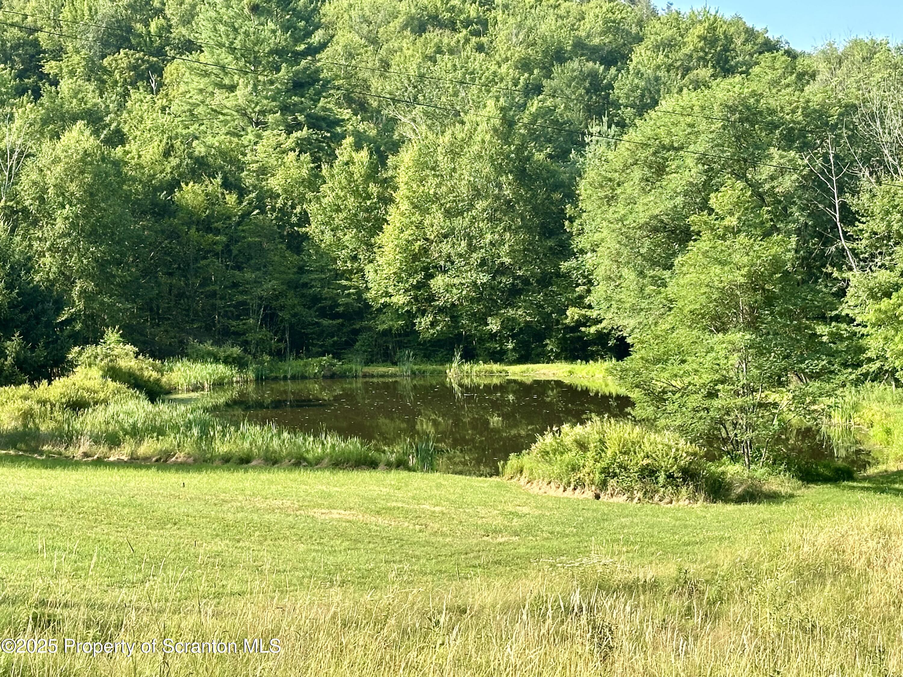 5290 Irish Hill Road Montrose, PA 18801 - Photo 51 of 67 a view of a lake with a yard