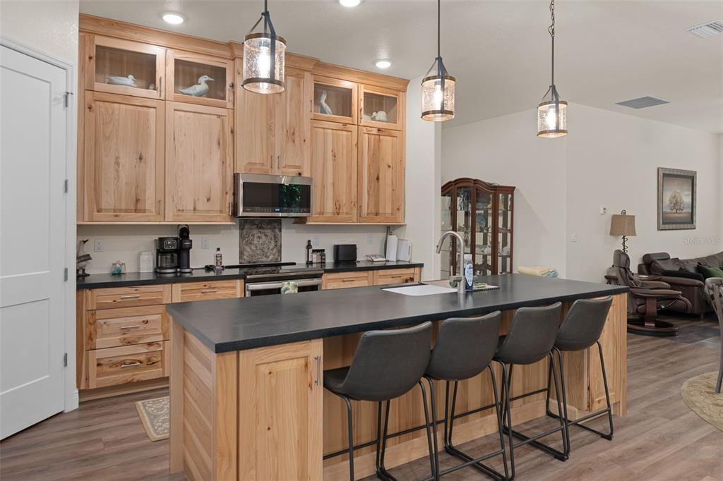 6762 East Richard Drive Weeki Wachee, FL 34607 - Photo 19 of 91