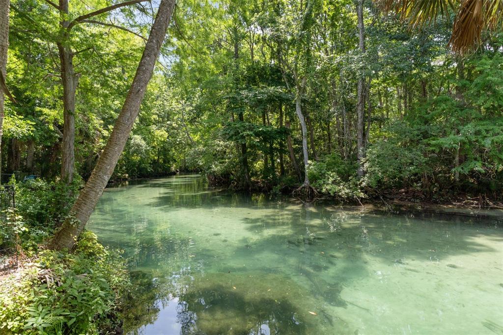 6762 East Richard Drive Weeki Wachee, FL 34607 - Photo 2 of 91